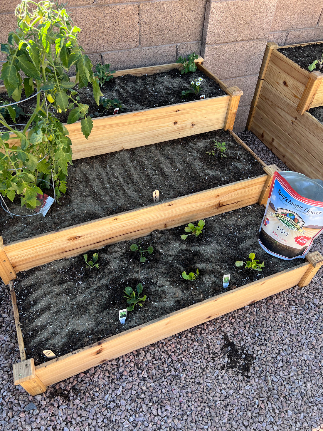 Dont forget to feed your Gardens